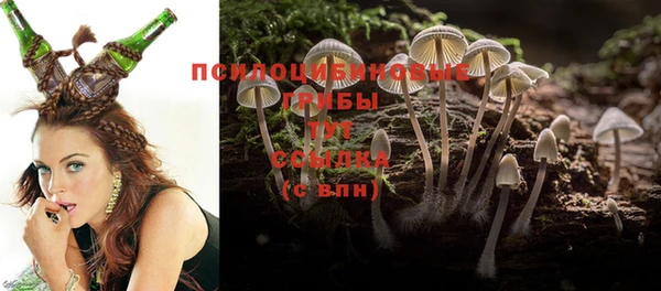 бошки Беломорск