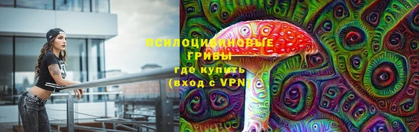 прущая мука Белокуриха